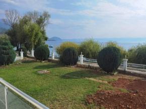Aqua Blue Peshtani